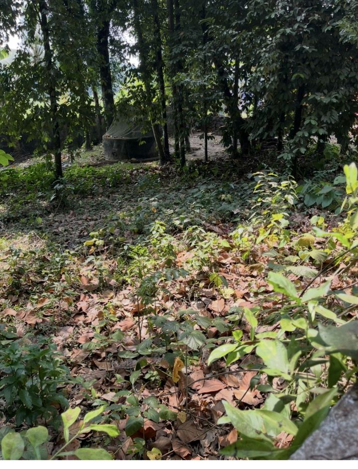 Land for Rent. 9 cents of land…on highway enroute St George Orthodox Church