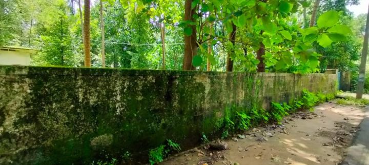 Land- 15 cent for sale in kuttoor, kottekkad near main road.Thrissur.