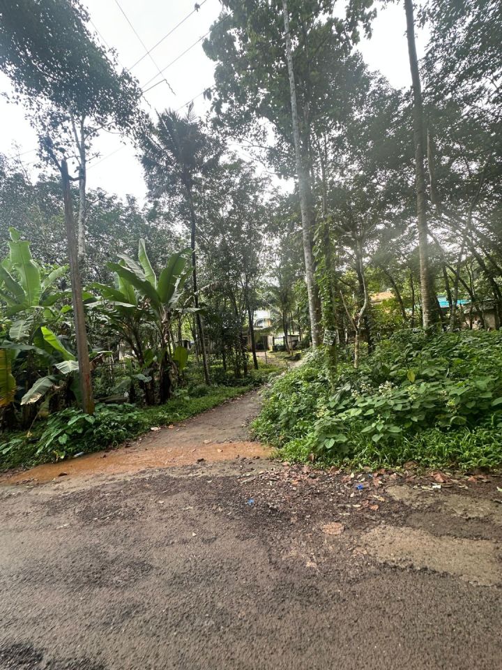 50 cent residential land for sale near Adoor
