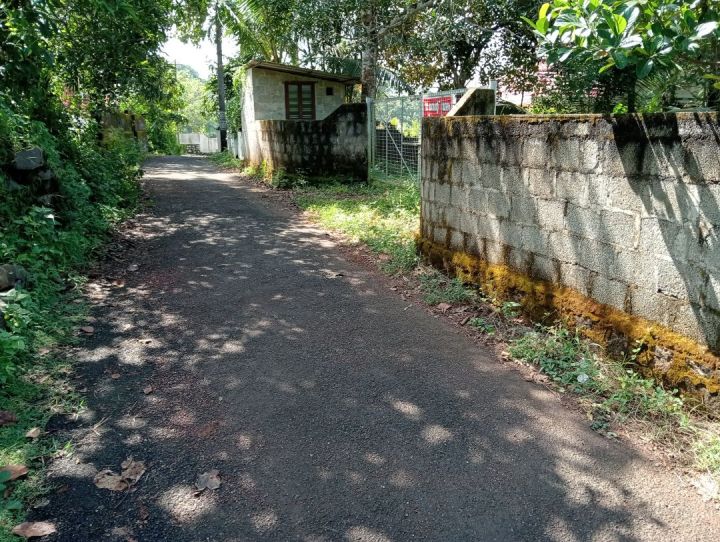 10 Cent Housing Plot at Mannanam  kottayam