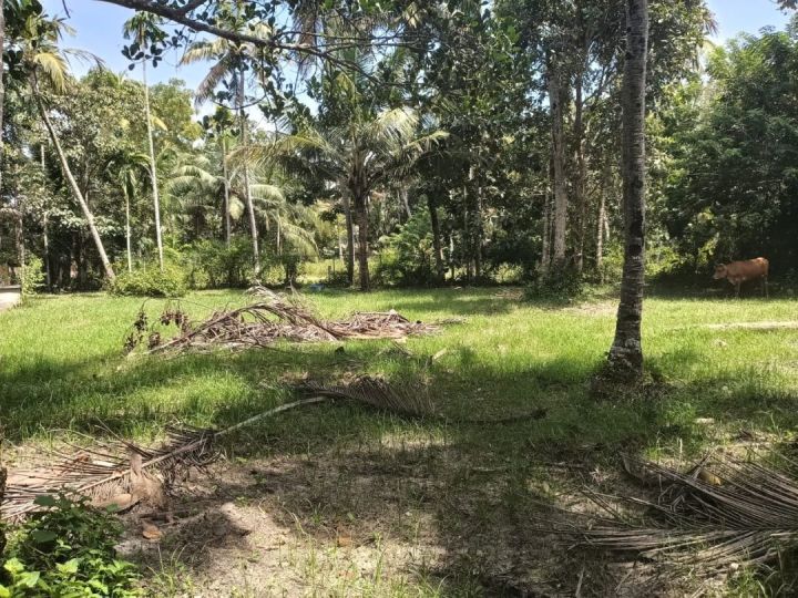 20 cent plot for sale in ochira