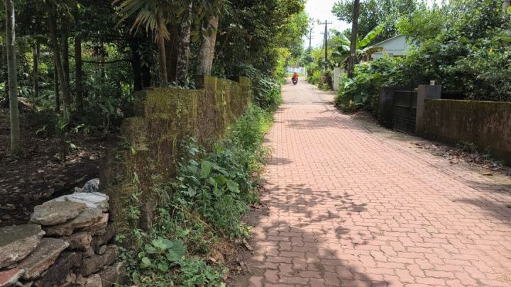 PLOT FOR SALE IN PALACE SQAURE ,ERUVELI CHOTTANIKARA