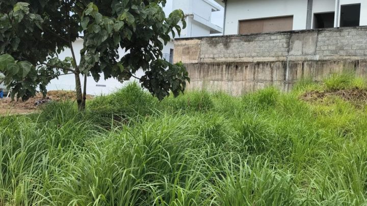 PLOT FOR SALE IN CHOTTANIKARA , VATTUKUNN