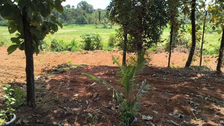 Residential Plot for Sale, Mulanthuruthy, Ernakulam