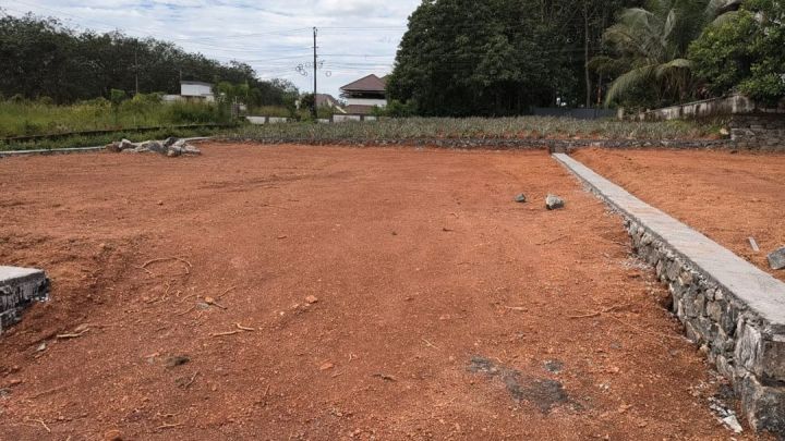 5,6,7,PLOT FOR SALE IN ERUVELI, CHOTTANIKARA ,ERNAKULAM