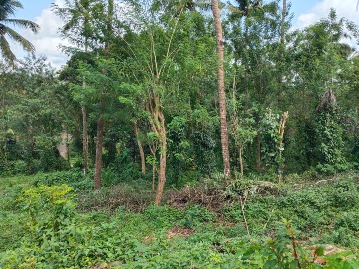 2 acre land for sale - PEECHI DAM, THRISSUR, KERALA