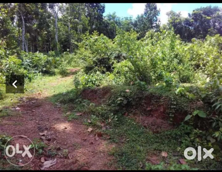 Agricultural /residential land for sale