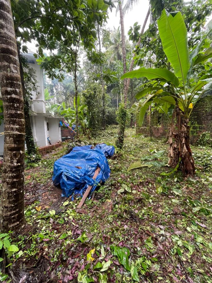 11 Cent Square Plot near Kuthuparamba