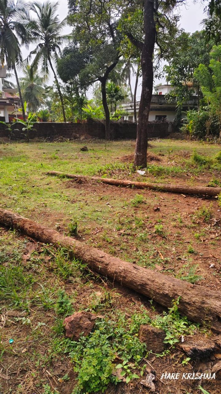 Residential Land for Sale in Kanhangad, Kasaragod - 38 Cents