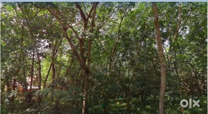 20 cent house plot for sale