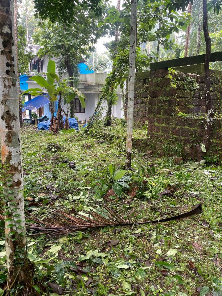 11 Cent Square Plot near Kuthuparamba