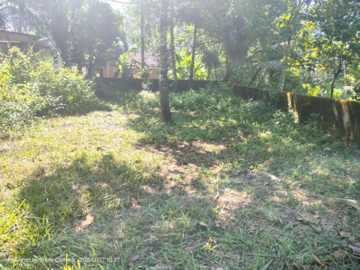 8.5 cent of land property