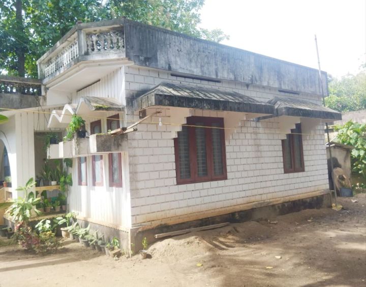 Land for Sale: 12 Cent Plot in Adichanalloor, Kollam