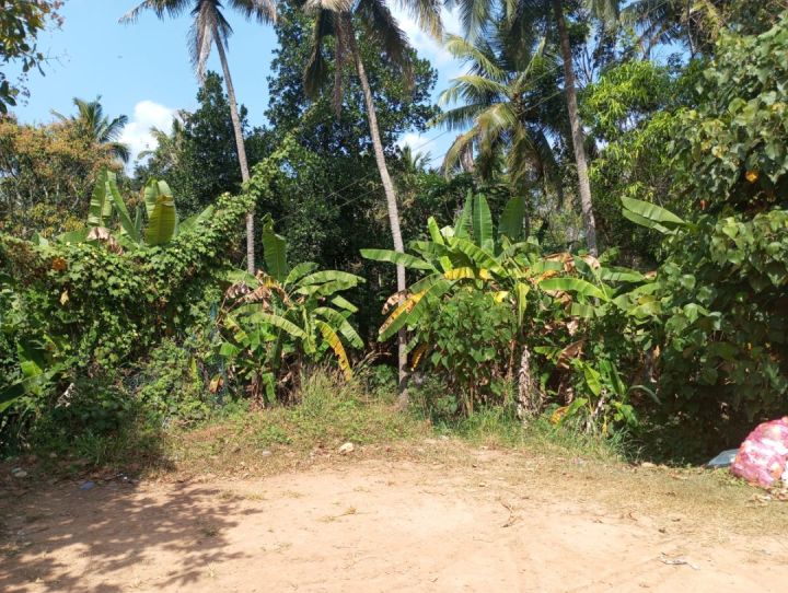 11.25 cent L shapes plot for sale in meeyannoor