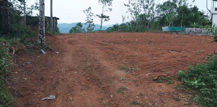 50 Cent Residential/Commercial Plot For Sale In Pudusserymala , Ranni