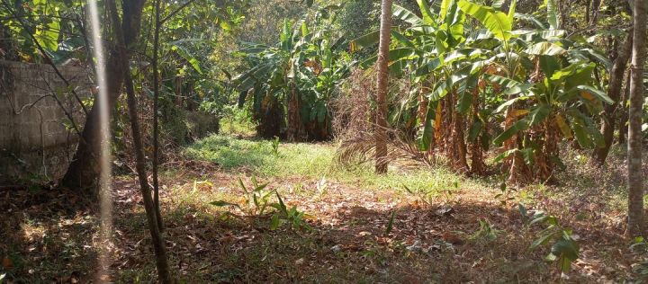 11.25 cent L shapes plot for sale in meeyannoor