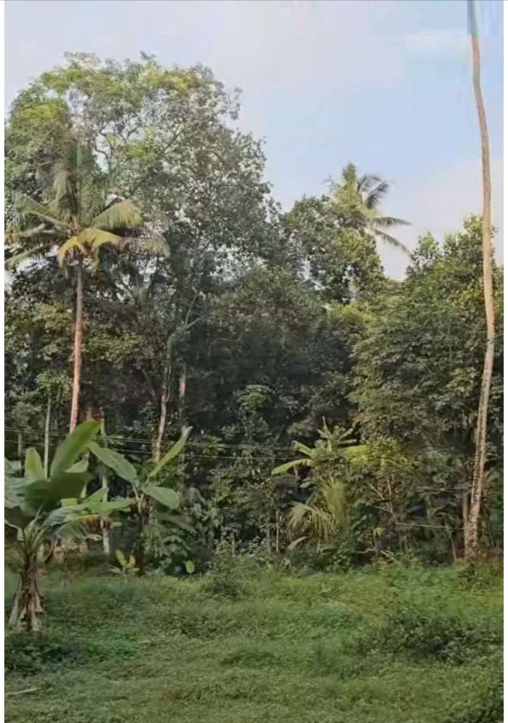 10 cents of land for sale, kattakkada