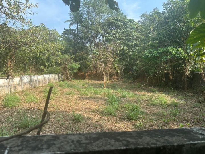 Residential land-10 cent for sale in Velappaya, Main road, Thrissur.