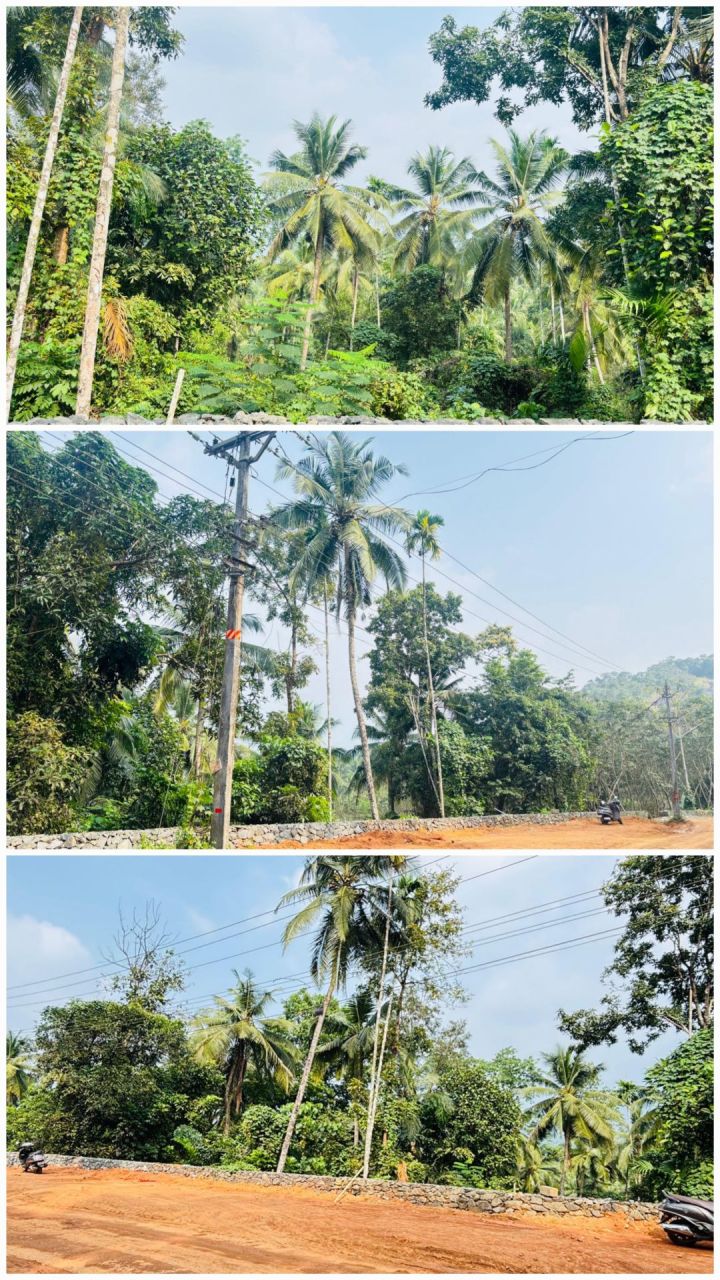 Kodenchery theyyapara road ,1 km from kodenchery
