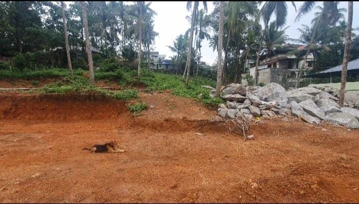 80 cent housing land in Parandode,Aryanadu