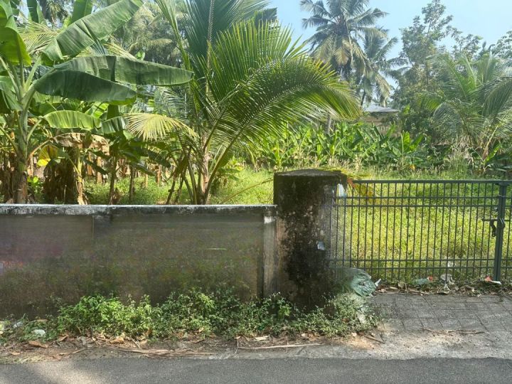 Residential Land for sale in Kuttumuck near Main road, Thrissur
