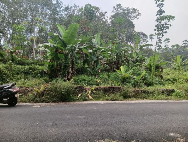 2.5 acres Land near upcoming Sabarimala Airport in Manimala