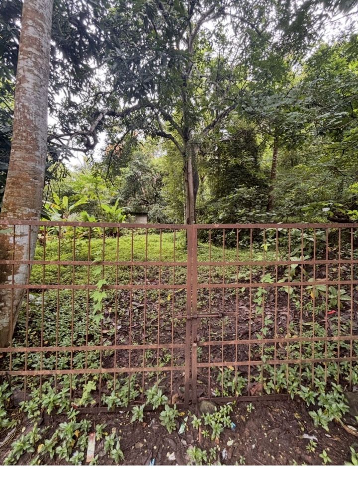 Agricultural land for sale in Mulayam, Near Mannuthy, Thrissur