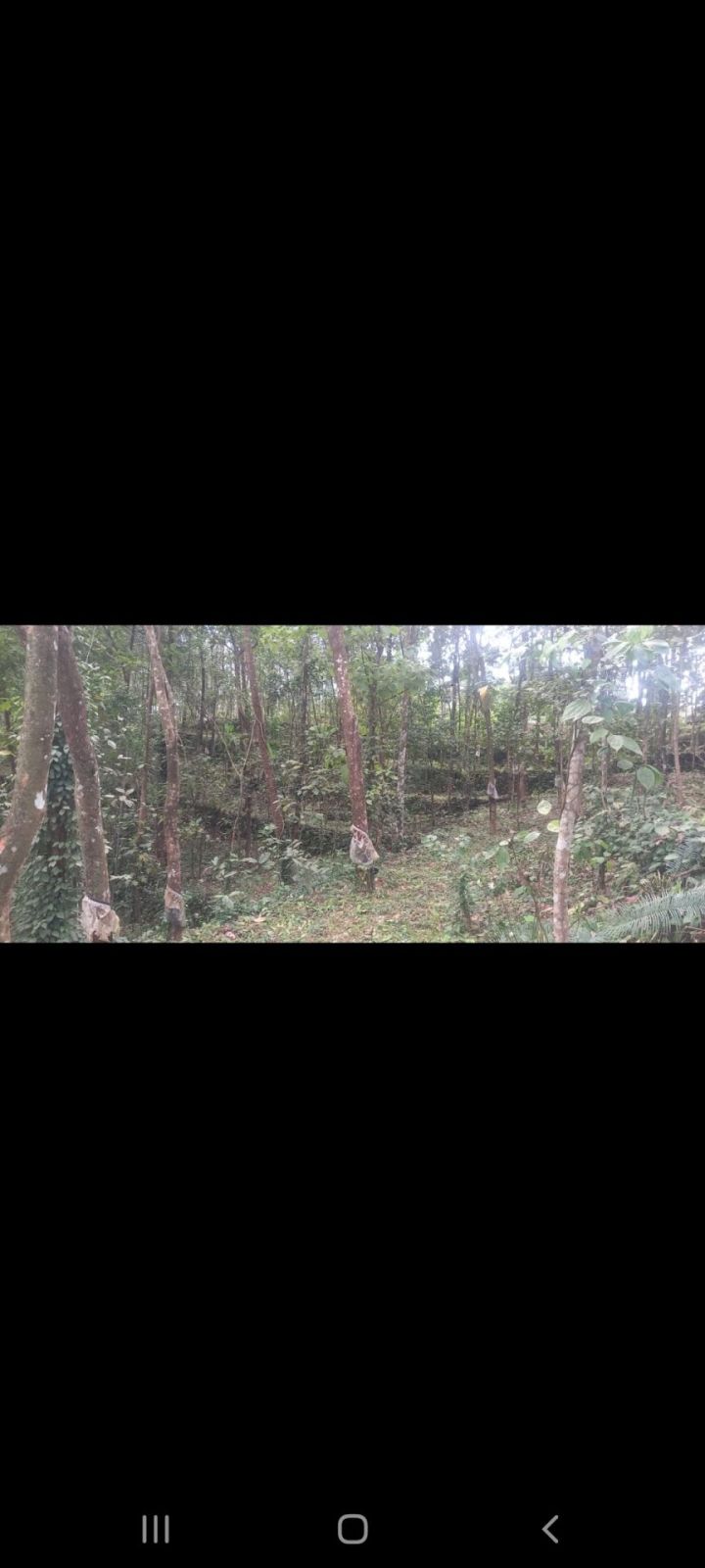 2.46 acres land for sale in karimkunnam