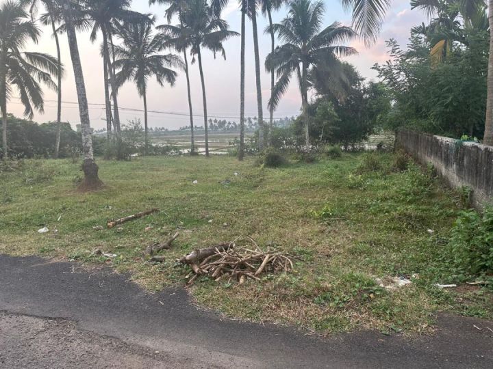 The residential plots-10 cent for sale at Olari, chettupuzha, Thrissur.