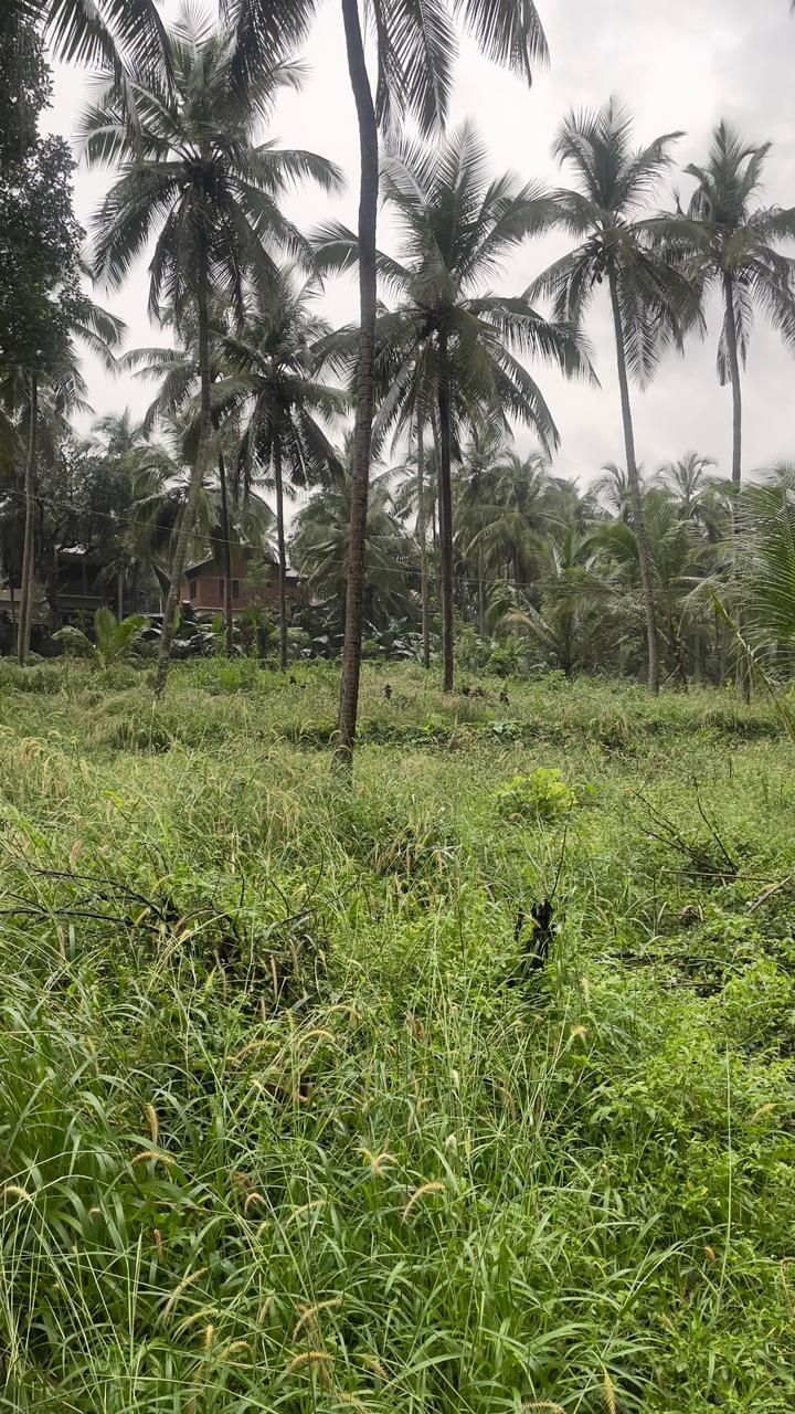 1.5 acre, 100m from highway, 3km from Malappuram town