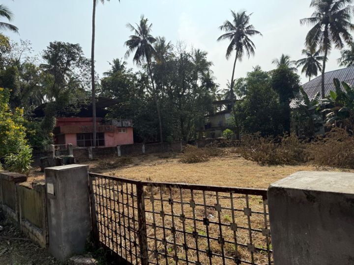 Residential plot for sale- 17.5 cent in Nehru Nagar, kuriachira Thriss