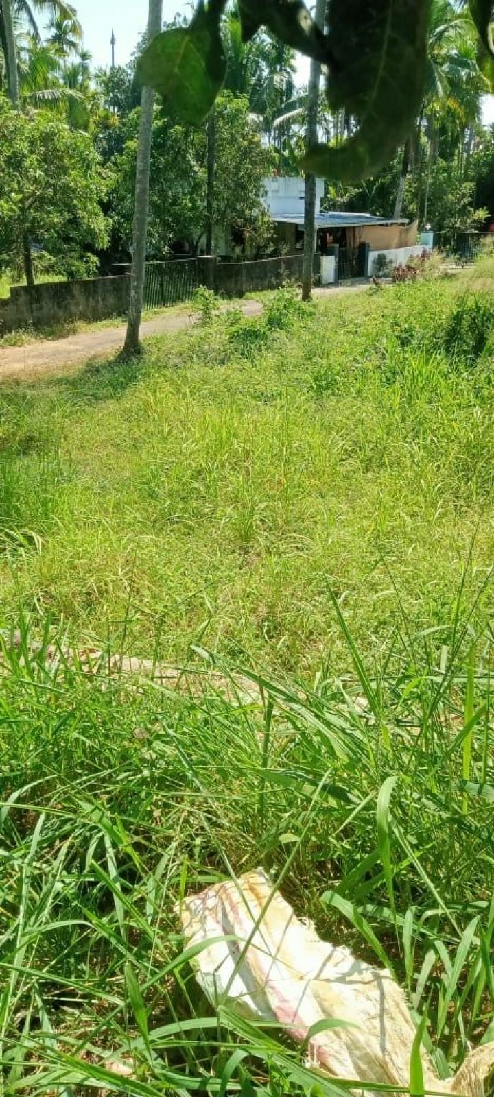 10 Cents Plot in Meloor, Chalakudy for immediate sale