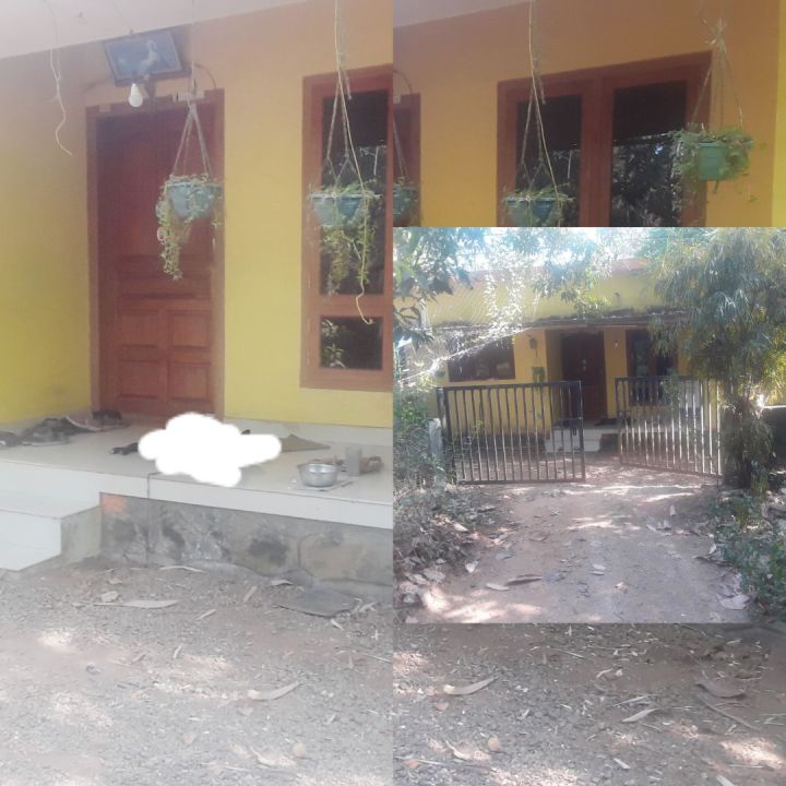 House for sale in pala, Thodanal