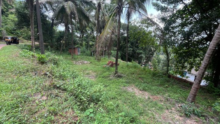 Prime 18-Cent Residential/Agricultural Land Near Palayi Regulator-Cum-Bridge, Nileshwar