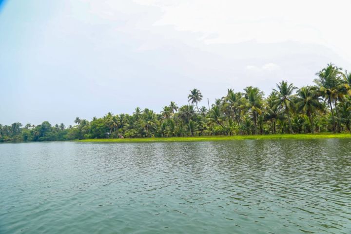 4 Acre agricultural land for sale in vattapotta, Murinjapuzha, chempu, Vaikom