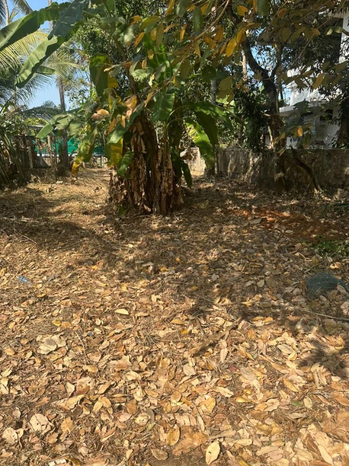 Residential Land-7.5 cent For sale in Viyyur, Pamboor, Thrissur.