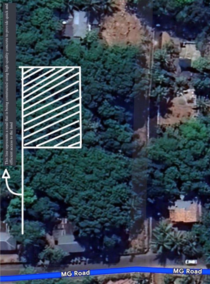 Exclusive 20-Cent Prime Roadside Land on MG Road, Pannivizha – High-Value Investment Opportunity