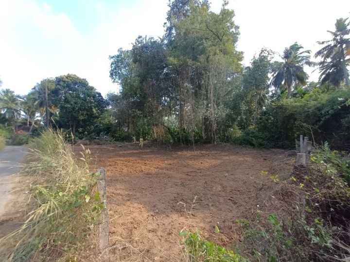FLAT & SQUARE 8 cent plot for sale near Kodump , kenal