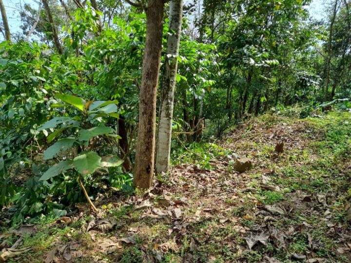 14 cent Residential Land with 3 BHK house for sale