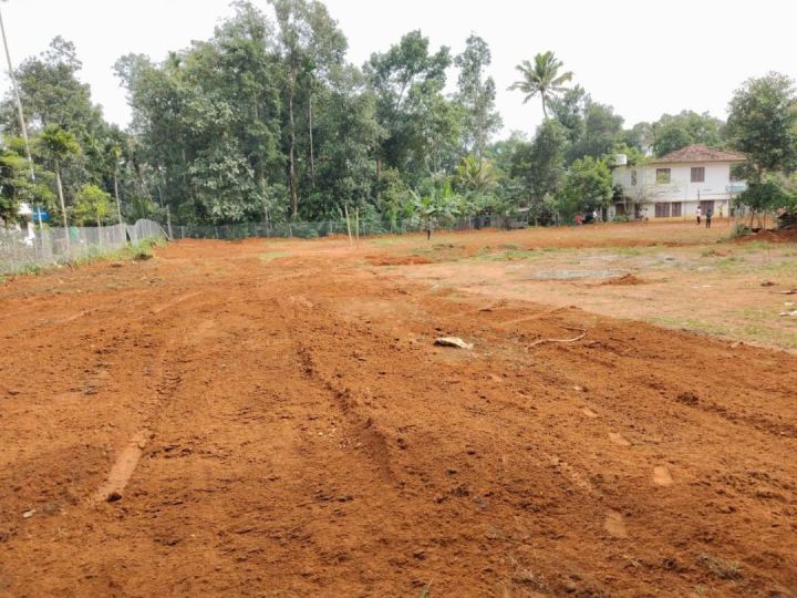 ? Prime Residential Plot for Sale – Adoor, Pathanamthitta
