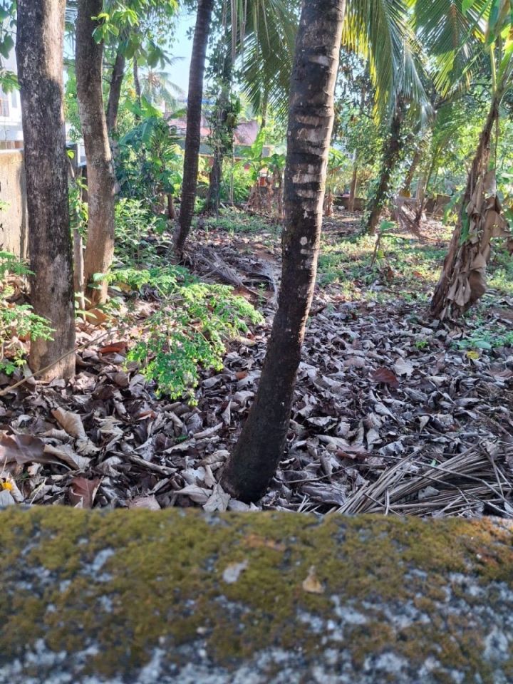 12 cent gated plot available for sale