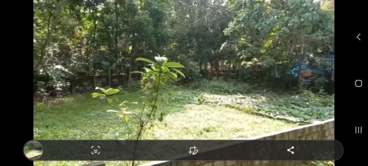 freehold property ready to register