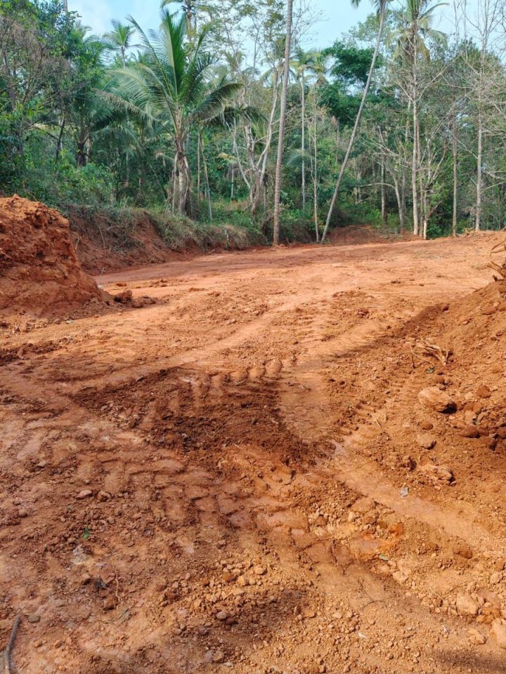 30 cent plot sale near kanal mukk eravattur