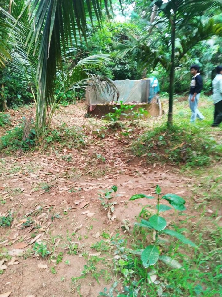 Residential property  for sale in palakkad district kizhakkumpuram