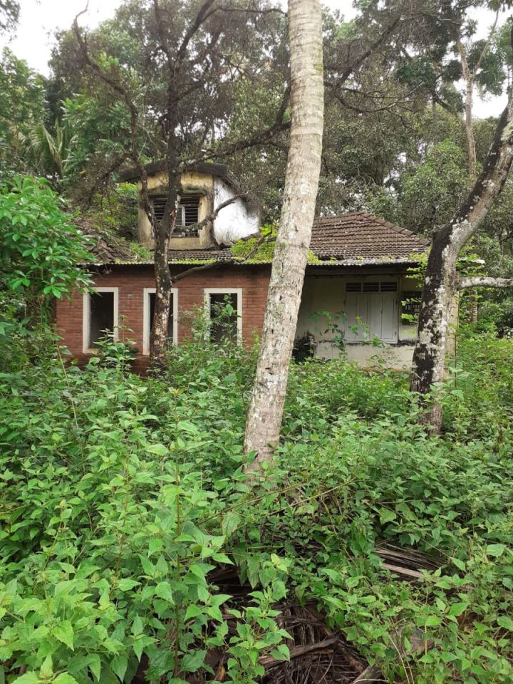 Prime Property in Arthungal