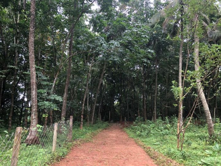 40 cents land for sale at kongad