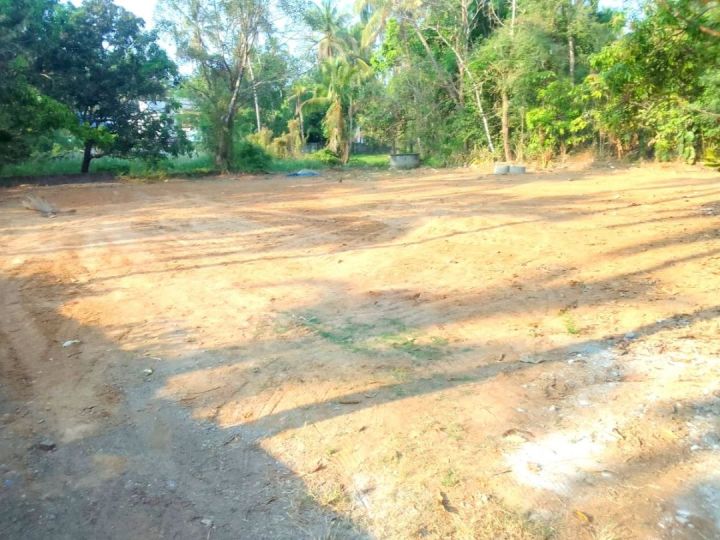RARE GURUVAYUR LAND- TEMPLE  PROXIMITY+POCKET ROAD+WELL WATER