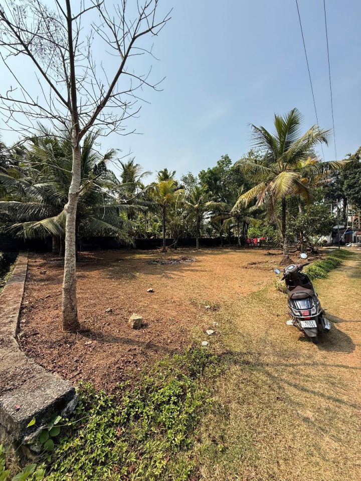 150m from NH 66 – Vavvakkavu, Karunagappally Square Plot – 13.5 Cent Residential