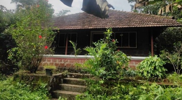 Farmhouse fully furnished and surrounded by lush greenery yeilding cashew etc