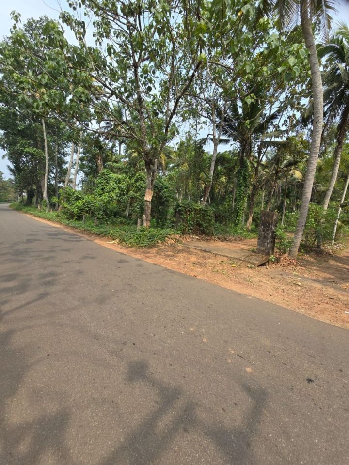 15 CENT SQUARE PLOT FOR SALE IN MADAPPALY, TEHNGANA WITH 4 METER ROAD ACCESS